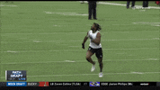 gostanford  GIF