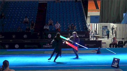 Star Wars Fencing GIF by Digg