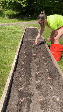 cedarflatsflowerfarm giphyupload GIF