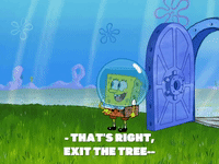 season 8 episode 13 GIF by SpongeBob SquarePants