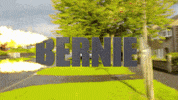 bernie sanders burn GIF by Alex Trimpe