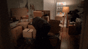fox what GIF