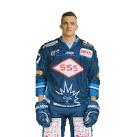 Dresden Del2 Sticker by Dresdner Eisloewen