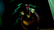 Bison GIF by NDSU Athletics