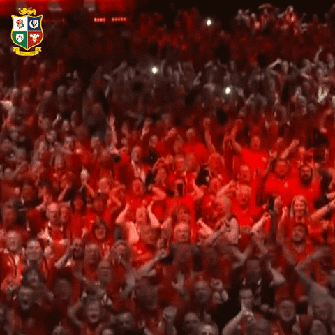 fans tour GIF by The British & Irish Lions