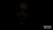 Twin Peaks Part 15 GIF by Twin Peaks on Showtime
