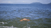 exnamtv de frias com o ex brasil GIF by MTV Brasil