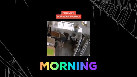 BeyondMilitaryPolice giphygifmaker GIF