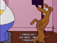 season 5 snowball GIF