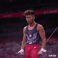 Celebrate Lets Go GIF by Team USA