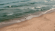 Beach Sea GIF by Productions Deferlantes