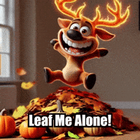 elkijahspark fall autumn leaves elkijahspark GIF