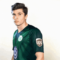 football hello GIF by VfL Wolfsburg