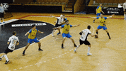 Celebrate Czech Republic GIF by HCB Karviná