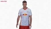 Auf Lets Go GIF by RB Leipzig