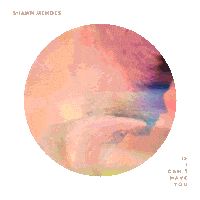 Cant Have You Sticker by Shawn Mendes