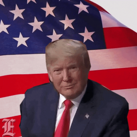 Impeach Donald Trump GIF by Washington Examiner