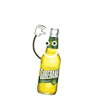 Panama Panamacity Sticker by Cerveza Soberana