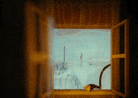 Animation Film GIF