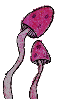 Pink Trip Sticker