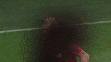 Here I Am Zlatan GIF by FC Red Bull Salzburg