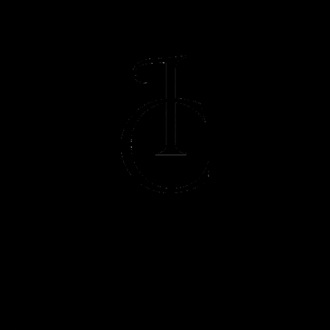 idan cohen GIF