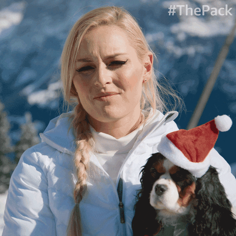 The Pack Dogs GIF by Amazon Prime Video