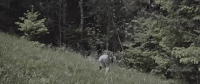 aftershock GIF by Cash Cash