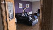 Kick Back Relax GIF by Stellify Media