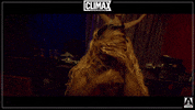drag race love GIF by Arrow Video