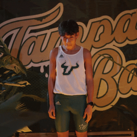 South Florida Horns Up GIF by USF Athletics