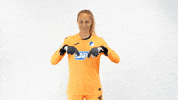 Clickhere GIF by TSG Hoffenheim