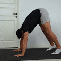 Fitness Calisthenics GIF