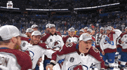 Ice Hockey Sport GIF by NHL