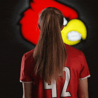 University Of Louisville Sport GIF by Louisville Cardinals