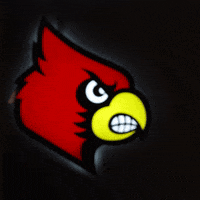 University Of Louisville Go Cards GIF by Louisville Cardinals