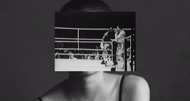 loma vista recordings american valhalla GIF by Iggy Pop