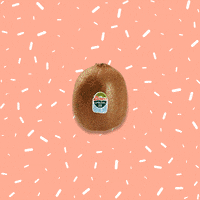 zesprispain happy party stopmotion kiwi GIF