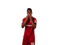 Bayer 04 Love GIF by Bayer 04 Leverkusen