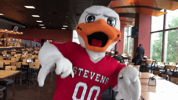 FollowStevens dance celebrate duck attila GIF