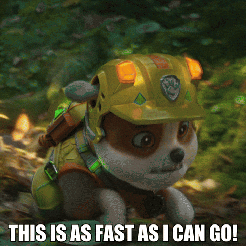 Puppy Running Going Fast GIF by Paw Patrol Movies