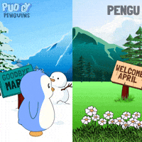 Penguin Spring GIF by Pudgy Penguins