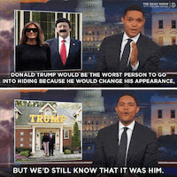 GIF by The Daily Show with Trevor Noah