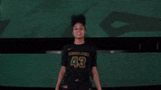 Excited Ncaa Sports GIF by Wright State University Athletics