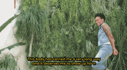 GIF by Refinery 29 GIFs