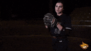 PRCCAthletics softball wildcats juco prcc GIF