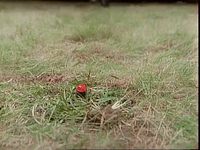 episode 5 specials GIF