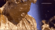 Dwyane Wade Slime GIF by Kids' Choice Awards