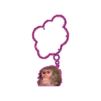 Thinking Monkey Sticker