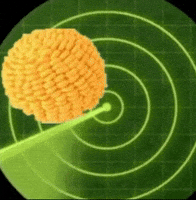 Instagram Ball GIF